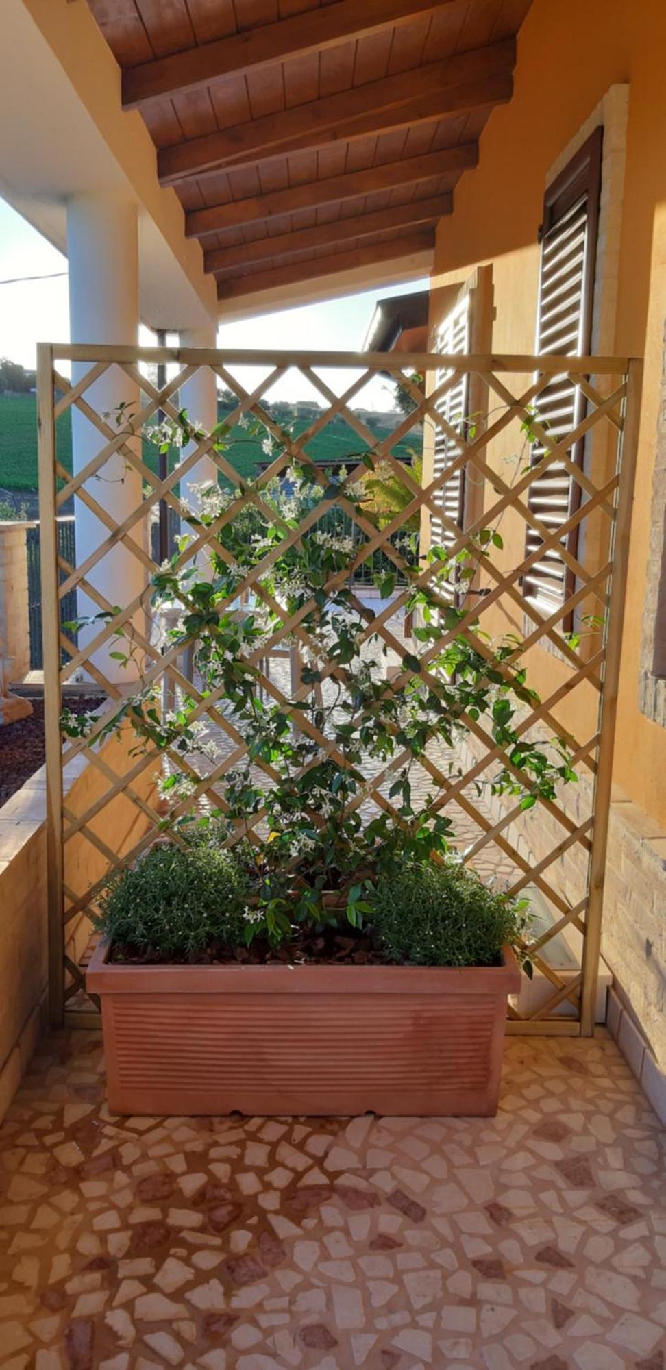 SantʼElpidio a Mare B&B Agrifoglio מראה חיצוני תמונה